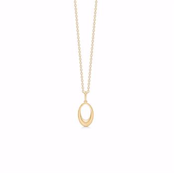 Oval gold pendant on a 45 cm chain with small round links, all in a matching golden color.