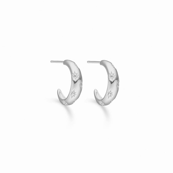 Guld & Sølv design Earring, model 2018/1