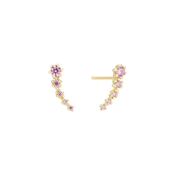 Gold earrings with curved design, large pink stone at top, smaller pink stones along the curve.