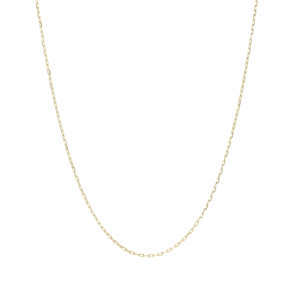 Thin gold chain with small, uniform links, showcasing a delicate and elegant design.