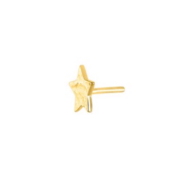 Nordahl's Ørestikkere med stjerner i forgyldt sølv 