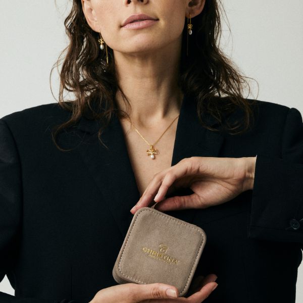 Christina Campaigns