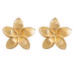 9 ct. Gold Frangipani earrings