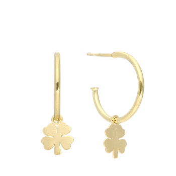 Halvcreol Clover from Aagaard