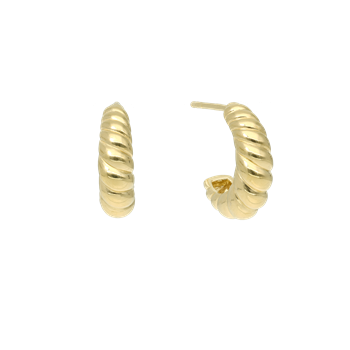 Halvcreol konkylie from Aagaard