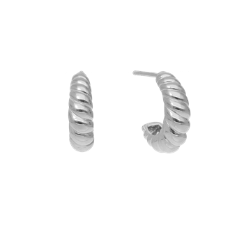 Halvcreol konkylie from Aagaard