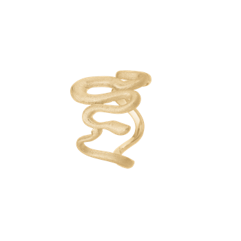 Snake, ring, forg from Aagaard